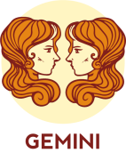 GEMINI (1)